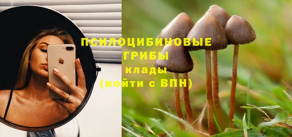 мяу мяу кристалл Арсеньев