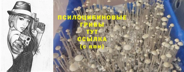 мяу мяу кристалл Арсеньев