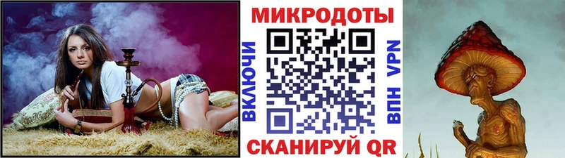 Купить  Канск  Галлюциногенные грибы Psilocybine cubensis 
